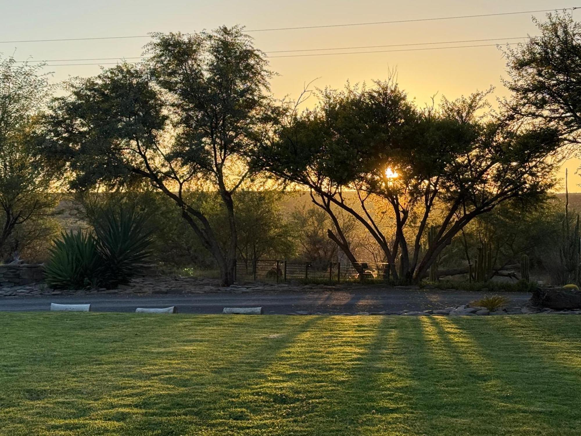 Teri-Lemveli Lodge Beaufort West Dış mekan fotoğraf