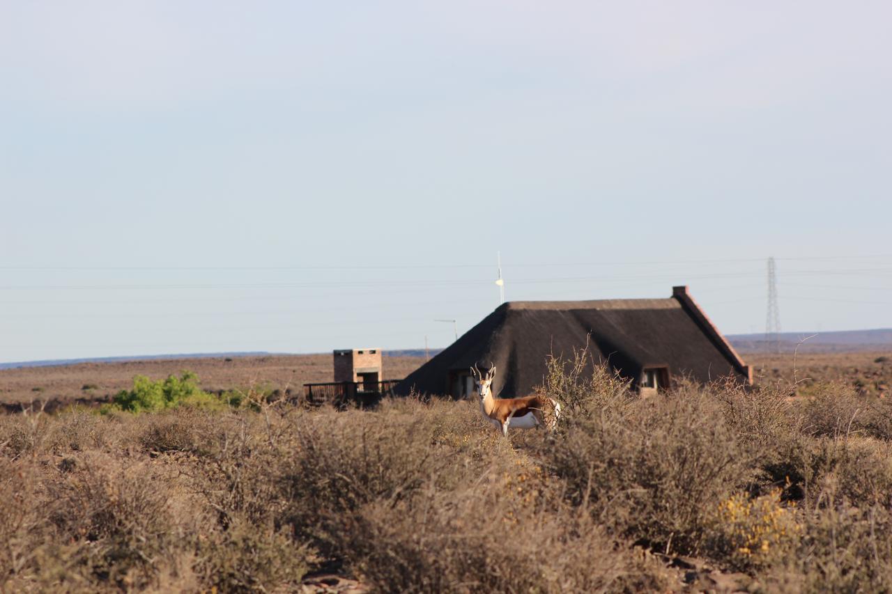 Teri-Lemveli Lodge Beaufort West Dış mekan fotoğraf