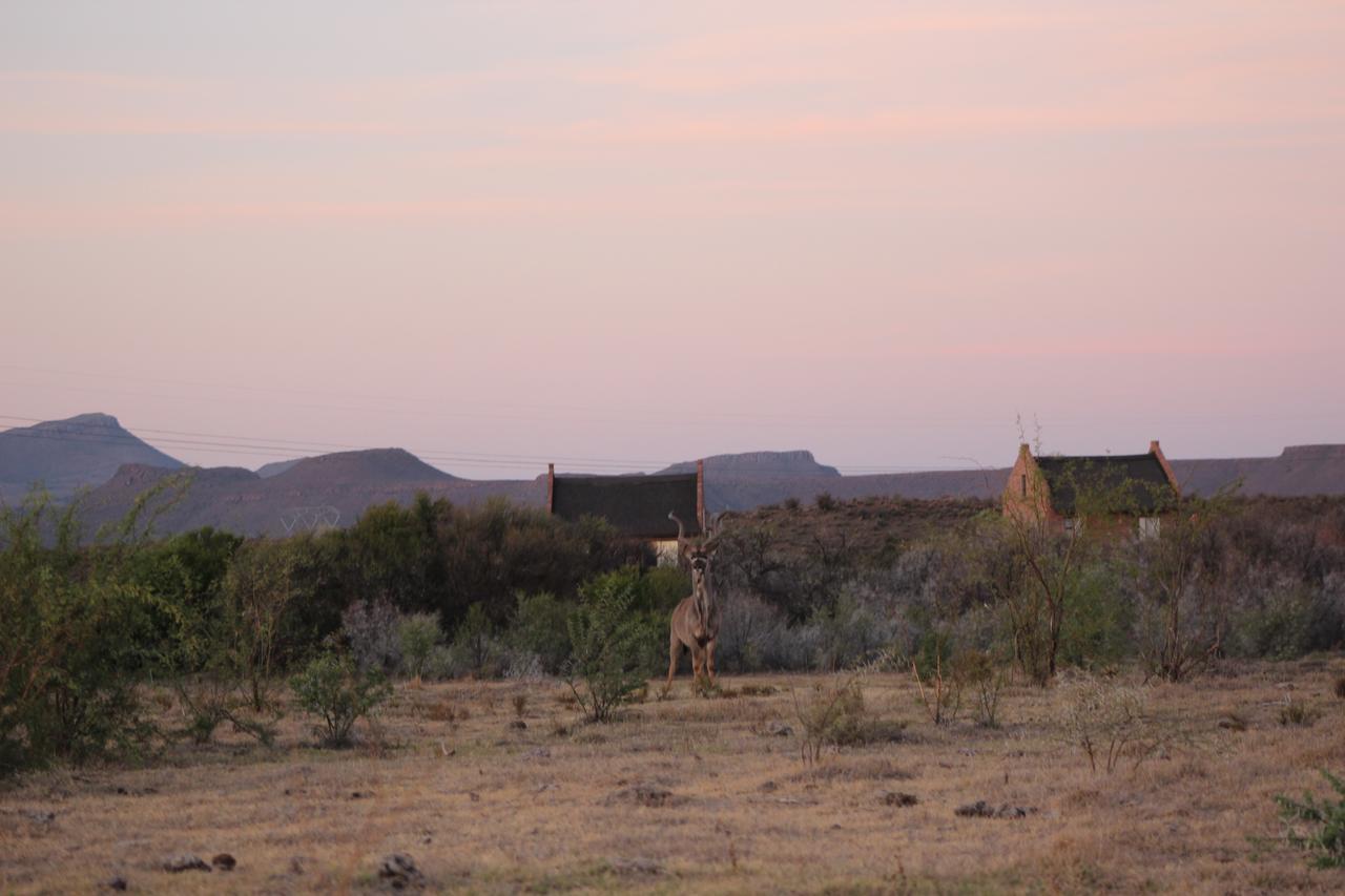Teri-Lemveli Lodge Beaufort West Dış mekan fotoğraf