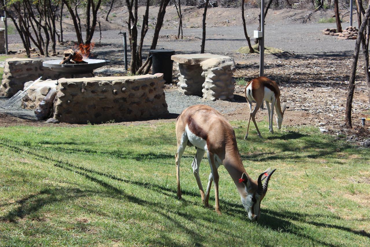 Teri-Lemveli Lodge Beaufort West Dış mekan fotoğraf